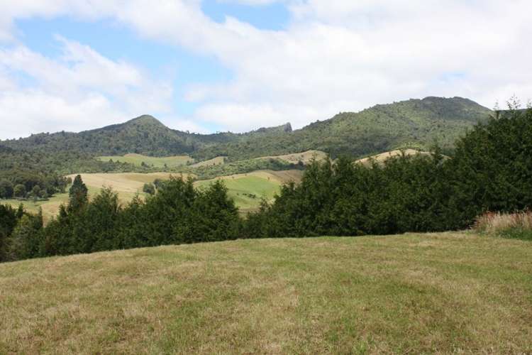 303 Arthur Road Te Pahu_8