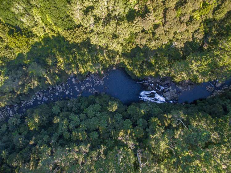 851 Wright Road Aongatete_21