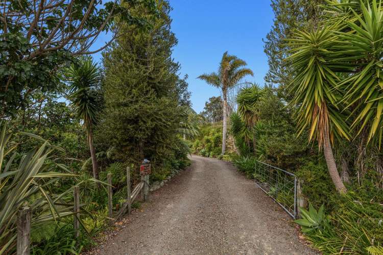 281 McCarthy Road Opotiki_9