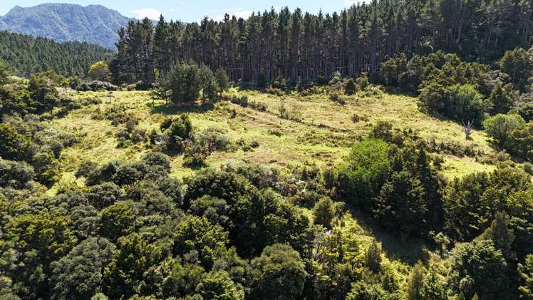 Herekino-Broadwood Road Herekino_2