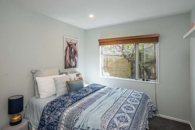 52 Bedford Street Northland_8