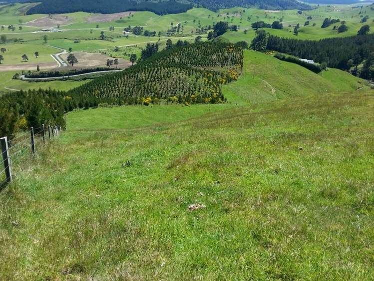 215 Forest Road Oruanui_7