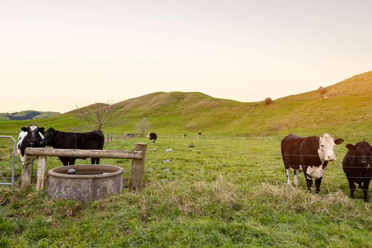 148 Flume Road Te Miro_23