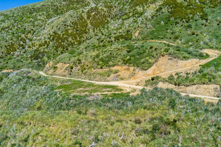 815 Manaroa Road Marlborough Sounds_7