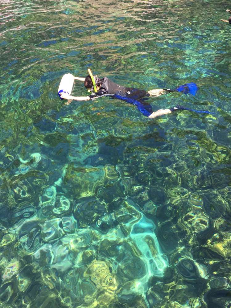 190 Pacific Ocean, Slipper Island (Whakahua) Thames_65