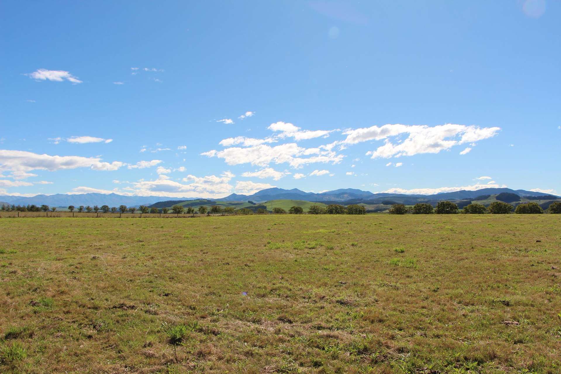 Goulds Road Totara Valley_0