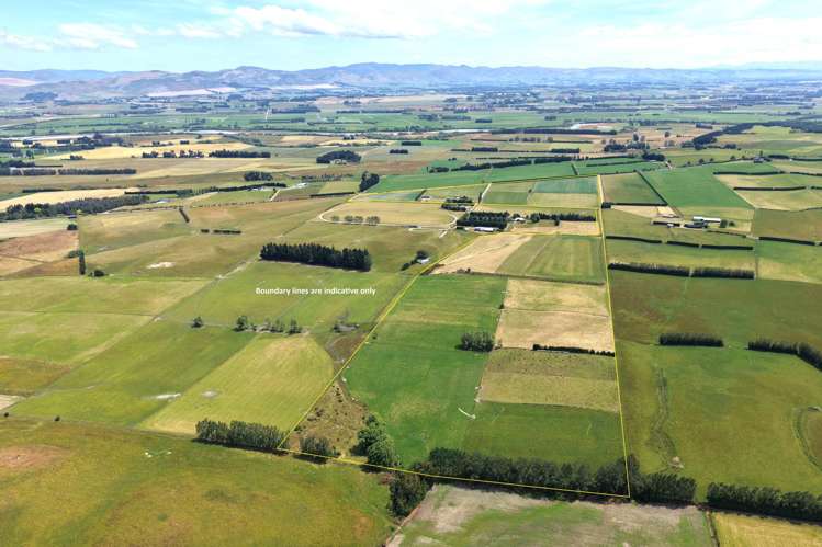 391A Otama Road Otama_3