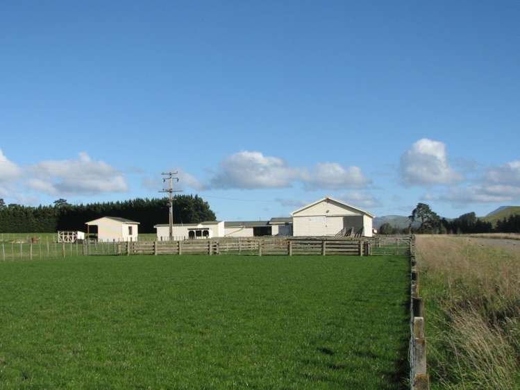 168c Hinakura Road Martinborough_11