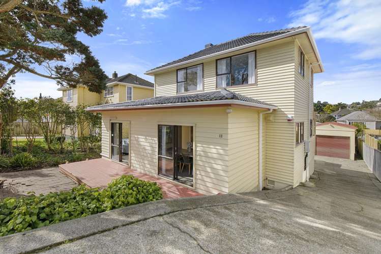 111 Moorefield Road Johnsonville_2