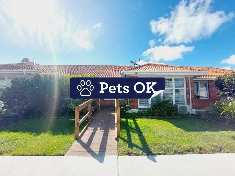 3/38 Turama Road Royal Oak_0