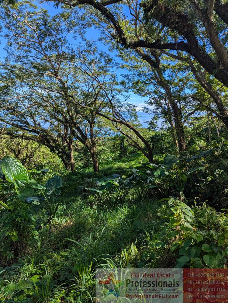 Address withheld Taveuni_5