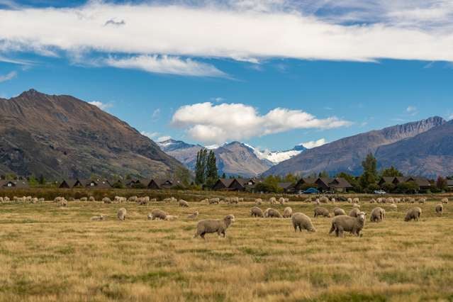 Orchard Park, 83 Orchard Road Wanaka_2