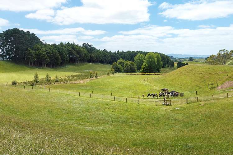 42 Birch Road Karaka_7