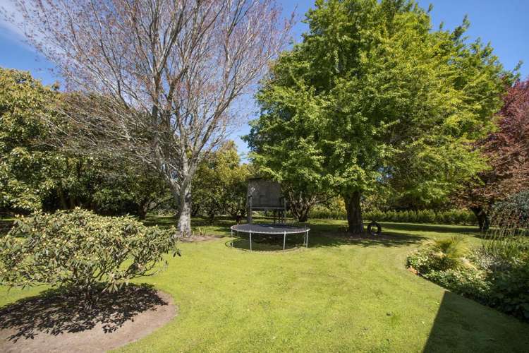 13B Astelia Drive Omokoroa_20