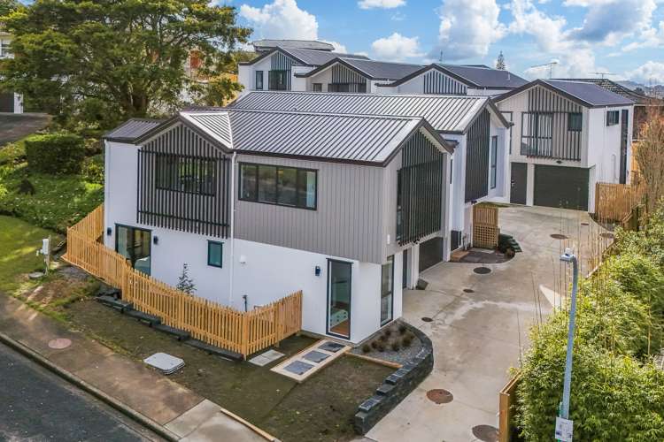 3 Catton Crescent Mount Roskill_22