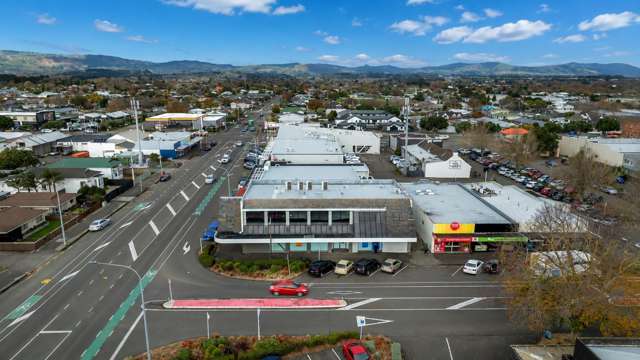 234 Ruahine Street Roslyn_2