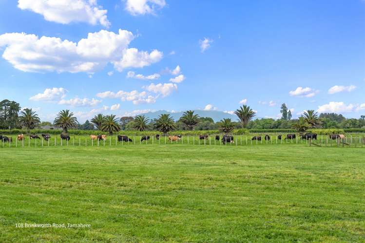 164 Lee Martin Road Tamahere_11