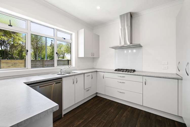 111 Galloway Street Hamilton East_5