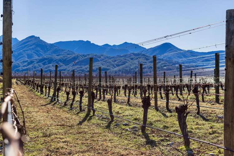 2486 State Highway 63 Wairau Valley_10