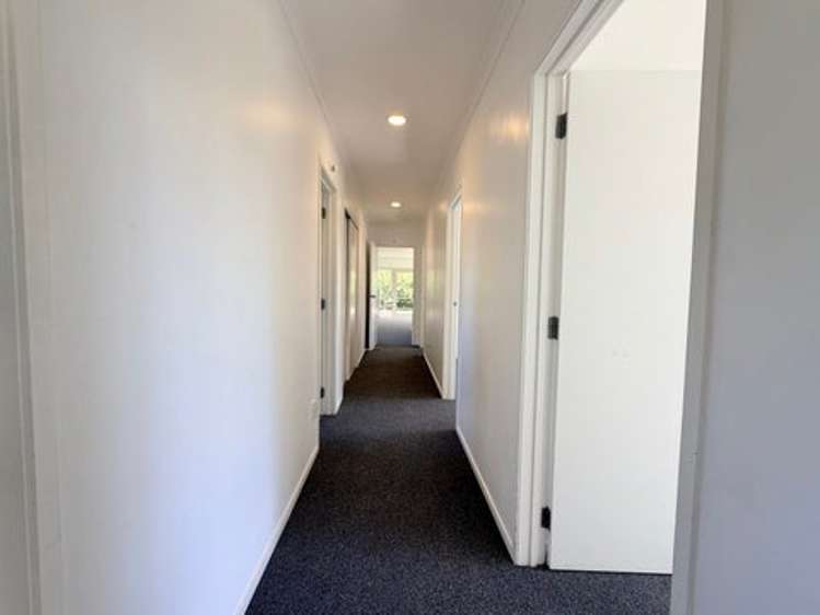 1164 No 3 Road Te Puke_9