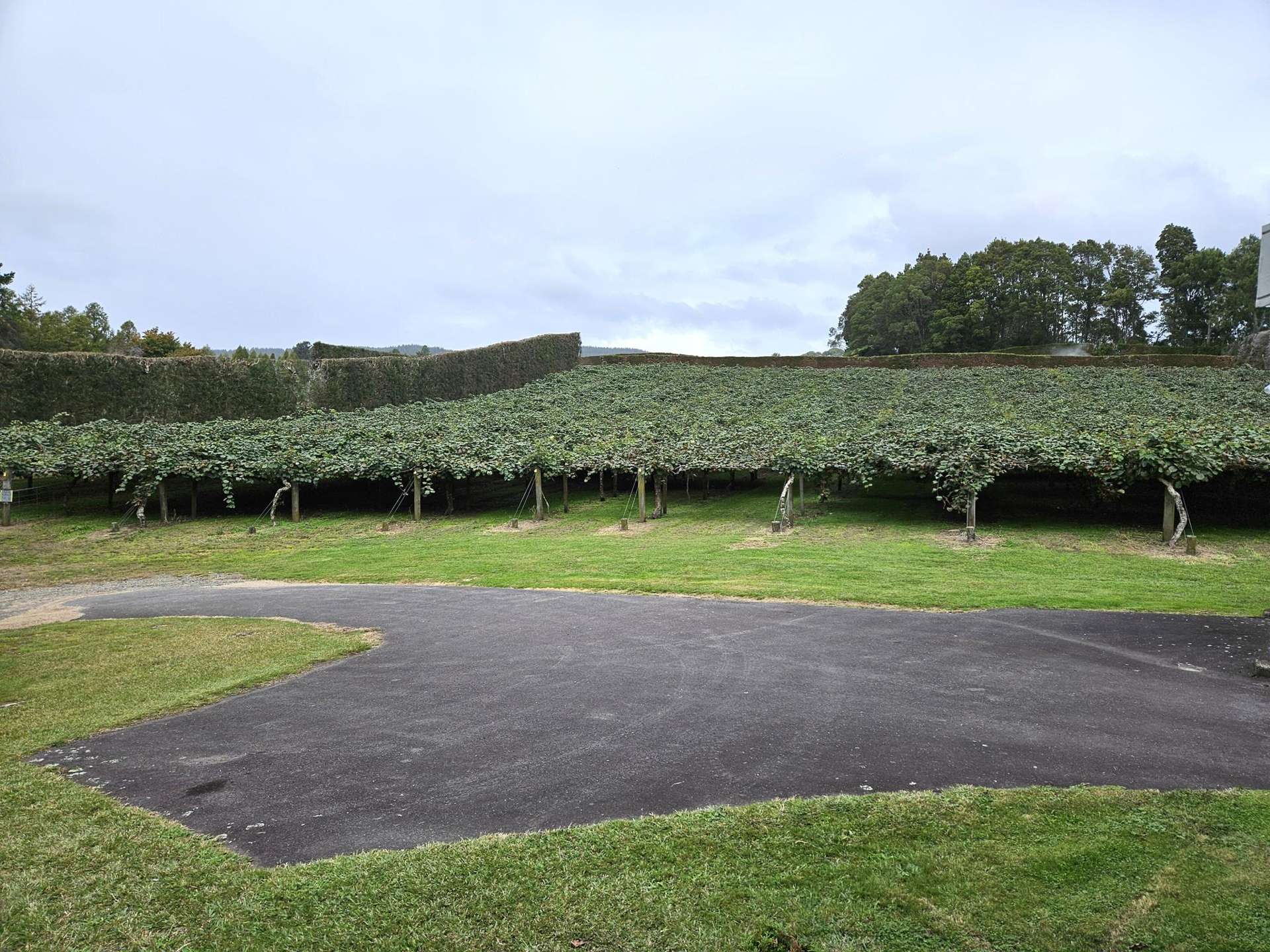 1395 No 3 Road Te Puke_0