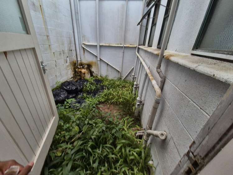 123 Manukau Road Epsom_5