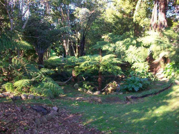 16 Poland Street Waikino_2