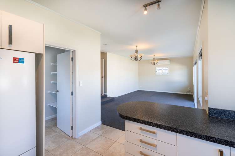 105 Nixon Street Hamilton East_15