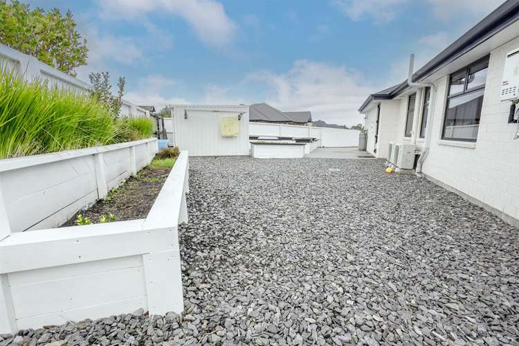 8 Higgins Place Paroa_30