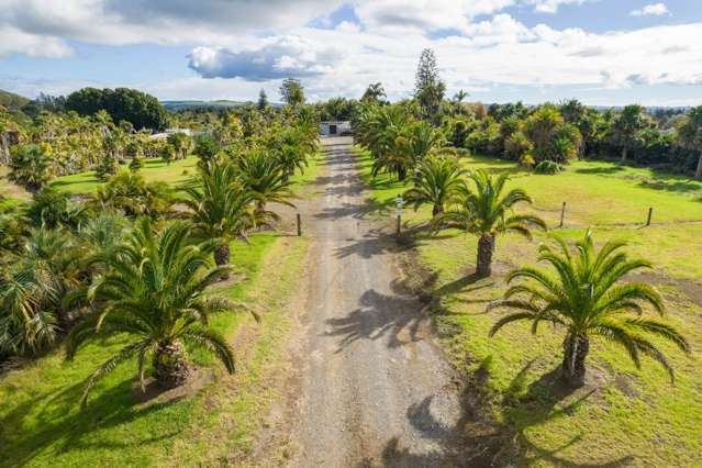 32 Wiroa Road Kerikeri_4