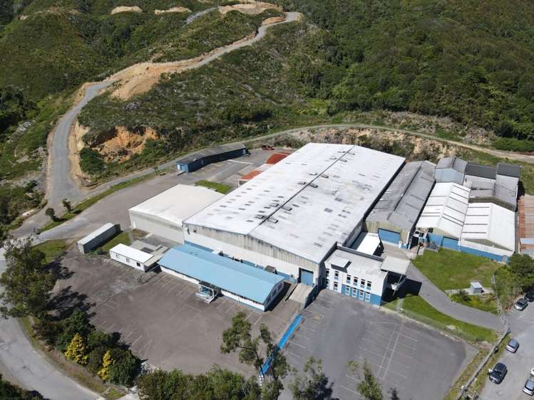 101 Collins Avenue Tawa_16