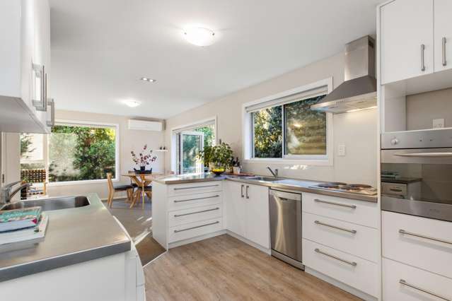 7B Roxburgh Street Sydenham_1