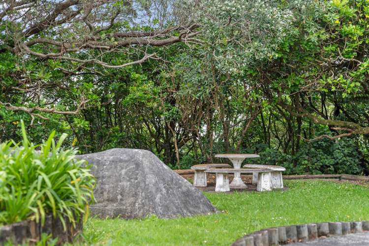 354 Hillsborough Road Hillsborough_18