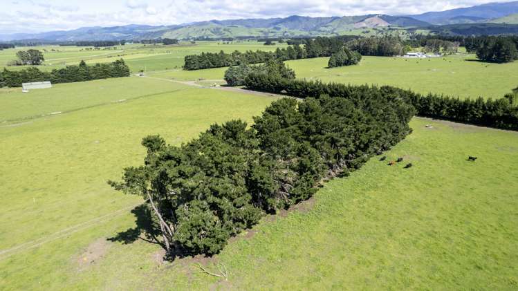 174 Wiltons Road Carterton_10