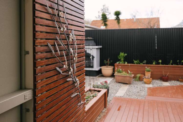 24 Alfred Street Roslyn_6