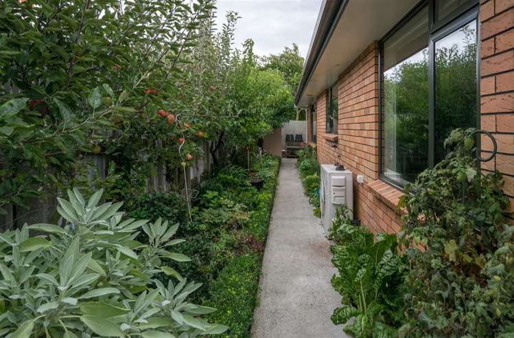 73b Cleghorn Street Redwoodtown_18