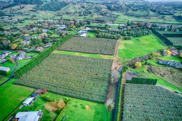 36 Echo Valley Way Tauriko_3