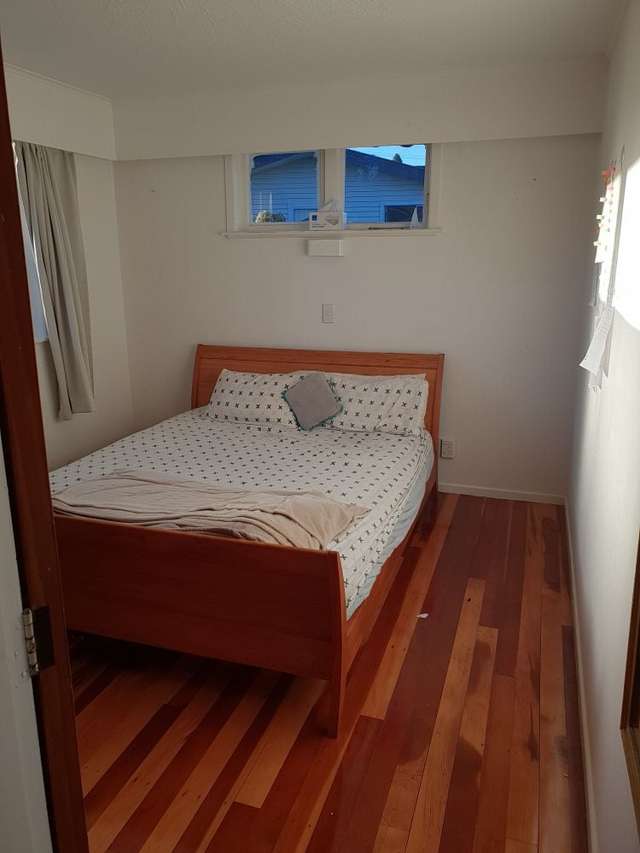 4 Amberley Grove Hutt Central_3