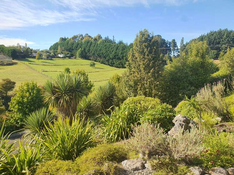 43 Redvale Road Redwood Valley_12