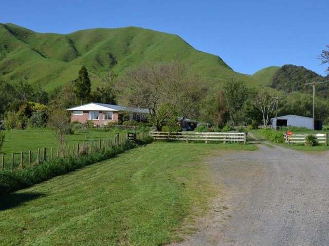 153 Hill Road Te Aroha_1