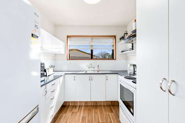 79 Chelsea Street Linwood_1
