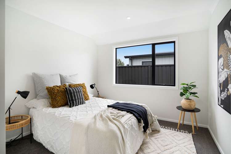 3 Nathan Lane Masterton_13