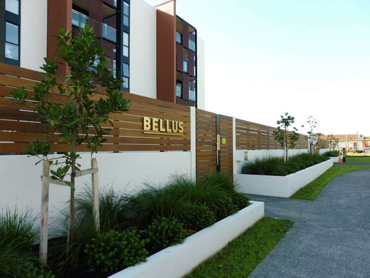 G07/189 College Road Stonefields_13