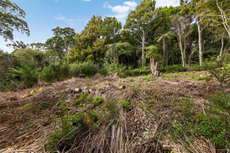 254 Piha Road Piha_7