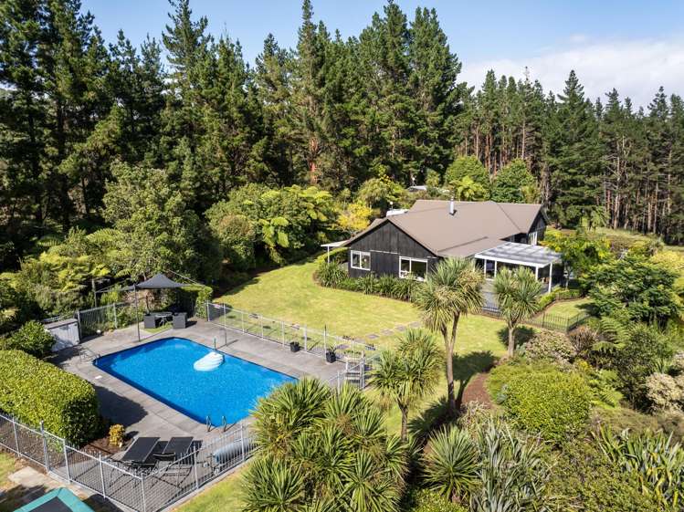 2252 SH29 Lower Kaimai_0