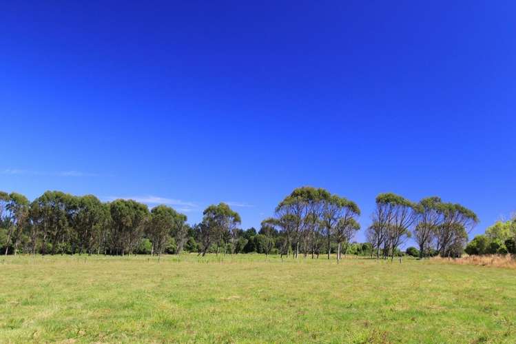 3279 Karamea Highway Kahurangi National Park_9
