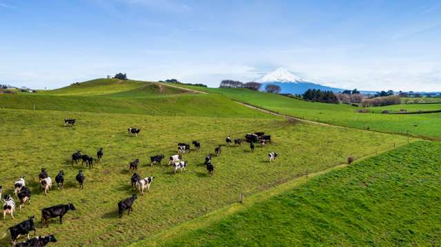 164 Lower Hunter Road Eltham_1