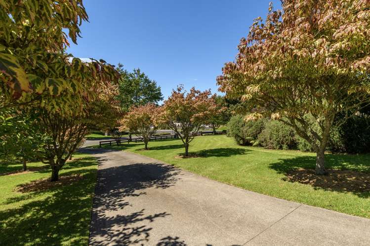 3 Phillips Drive Oropi_10