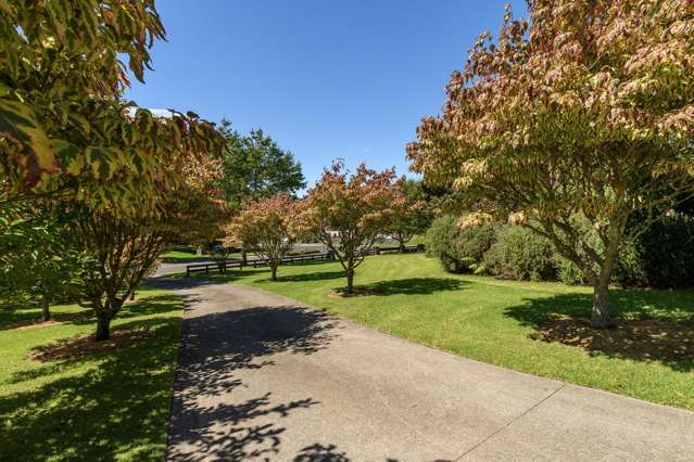 3 Phillips Drive Oropi_4