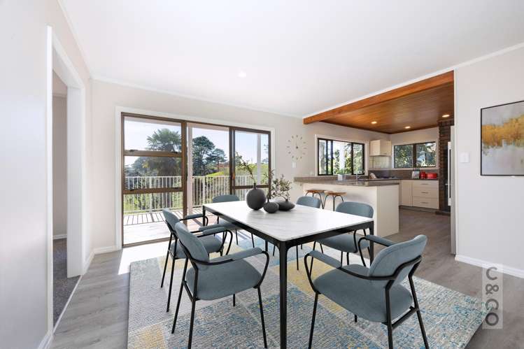 46 Potter Road Dairy Flat_10